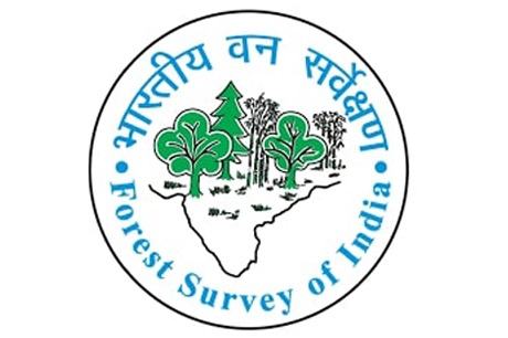 FSI